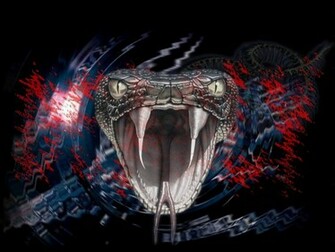 Best Wallpaper Snakes