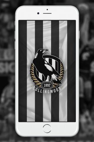 Collingwood Magpies Wallpaper Afl