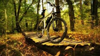 Mountain Bike Action Wallpaper Weddingdressin