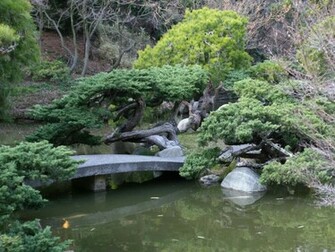 Background Nature Wall Paper Desktop Japanese Garden