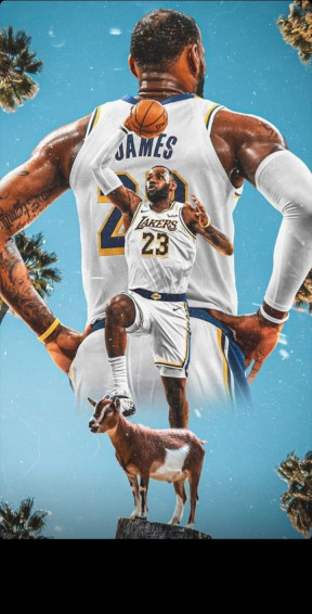 William On Baskoot Lebron James Nba Fashion Mcdonald S
