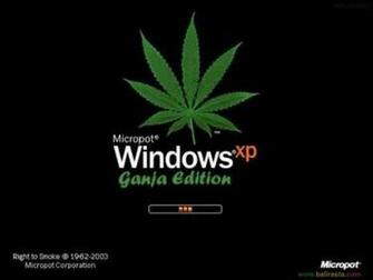 Wallpaper Cannabis