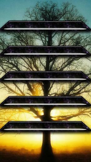 Shelf iPhone Plus Wallpaper HD