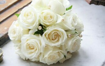 White Rose Desktop