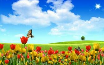 HD Wallpaper Nature Landscape Desktop