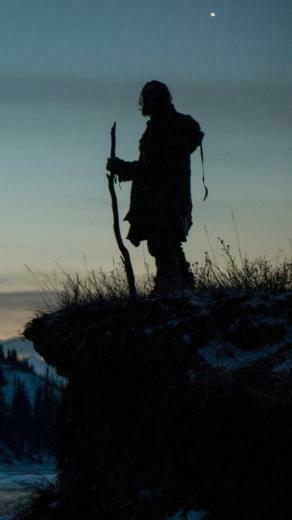 Movie The Revenant Wallpaper Id