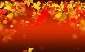 Autumn Leaves Background Wallpaper For