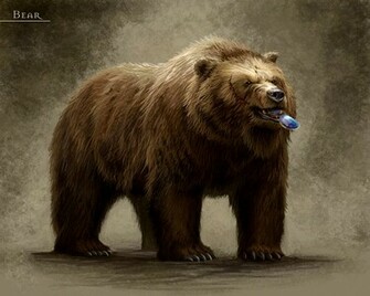 Bear Img Imgion Image Animated Brown Jpg