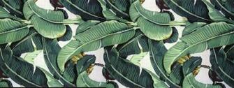 Martinique Wallpaper Cure Design Group