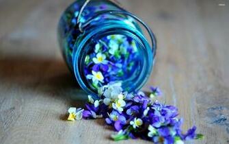 Jar Of Flowers Wallpaper