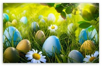 Easter Egg Hunt HD Wallpaper For Standard Fullscreen Uxga Xga