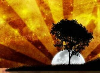 Moon Picture Of A Full Movie Wallpaper New Screensavers