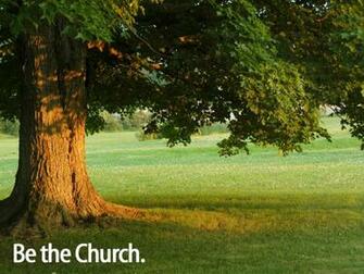 Tree Wallpaper Grasscloth