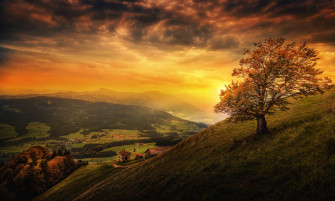 Hill Wallpaper