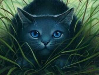 My Top Collection Warrior Cats Wallpaper