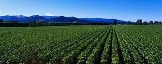 Panoramic Landscape Wallpaper No Search Pictures Photos