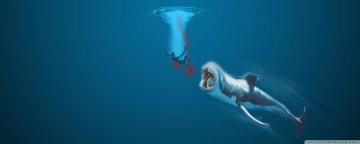 Whale Ultra HD Desktop Background Wallpaper For 4k UHD Tv