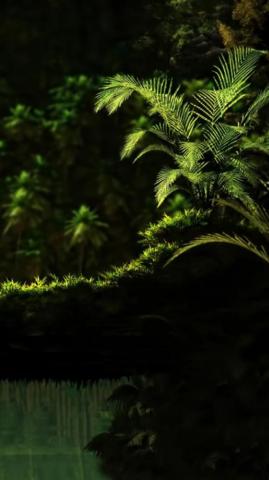 Green Plant Dark Shadow Forest Wallpaper HD Mobile Desktop