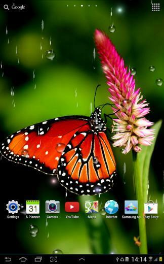 Rain Live Wallpaper Beautiful With Rainy Effect