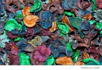 Plants Potpourri Background Stock Photograph I1053299 At