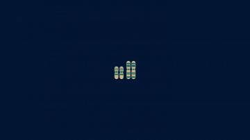Science Wallpaper Karyotype Like Human Chromosomes And