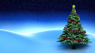 Christmas Tree 4k Wallpaper iPhone HD Phone 8060h
