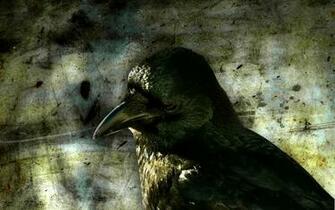 The Crow Computer Wallpaper Desktop Background Id