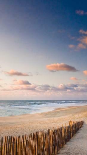 Pretty Beach Way Fence Ocean iPhone Wallpaper