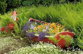 Birds And Blooms America S Backyard Birding Gardening