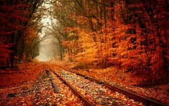 Railroad Autumn Fall Seasons Leaves Colors Trees Forest Wallpaper