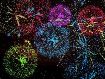 Wincustomize Explore Screensavers Flaredance Firework Screensaver