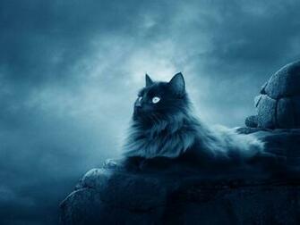 Warrior Cat HD Wallpaper Cats