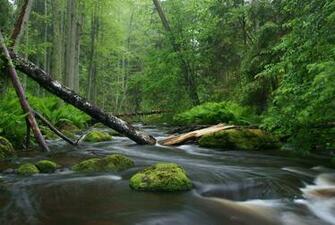 Nature Photography Wikipedia