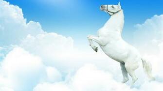 Horse Wallpaper Best