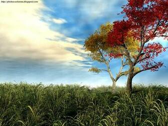 Club Buzz Crops Field Wallpaper