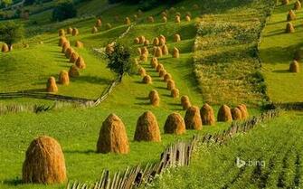 Farm Haystack Bing Theme Wallpaper 10wallpaper