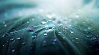 HD Nature Wallpaper For Android