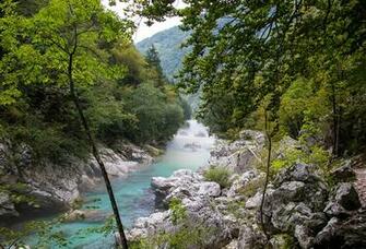 Wallpaper Slovenia River Soca Nature Forest Stone Rivers Branches