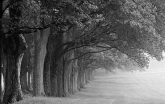 Black And White Nature Snow Car Pictures