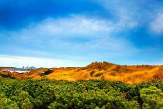 Cool Landscape Wallpaper