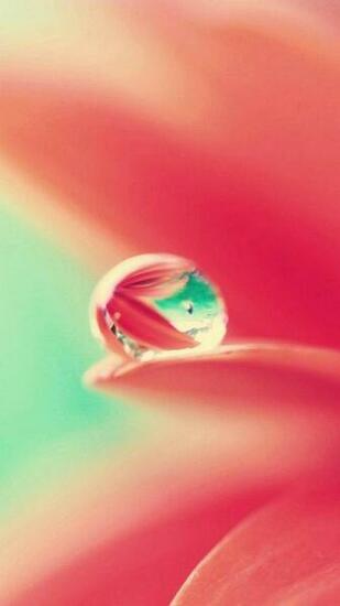 iPhone And Plus HD Wallpaper Techbeasts