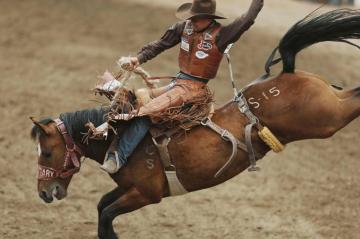 Rodeo Background HD Wallpaper Wallpapertip