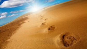 Sunlight Pictures Wallpaper High Definition Quality
