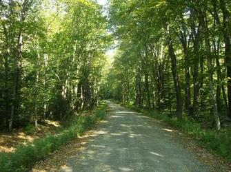 Old Country Road By Thegreatwiseass