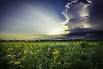 Summer Storm Wallpaper For Phones And Tablets