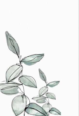 Aesthetic Plant iPhone Wallpaper Cute Desktop Simple