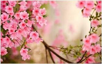 Pin Di Nature Wallpaper