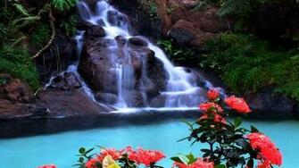 Tropical Waterfall Wallpaper Wallpaper13