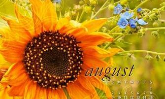 Calendar Wallpaper Monthly