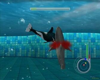 Jaws HD Wallpaper In Movies Imageci